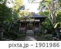 常寂光寺の仁王門 1901986