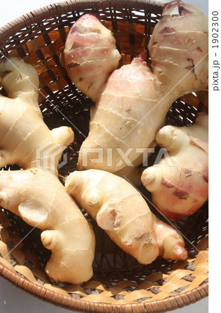 氷川しょうが 1902300