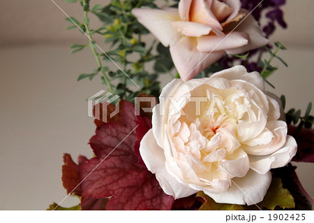 庭で摘んだ秋の草花を飾る 1902425