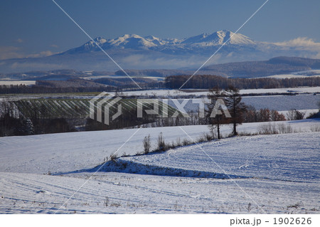 美瑛 大雪山と雪景色 美瑛 大雪山と雪景色 1902626