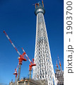 スカイツリー建設中 1903700
