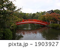 神泉苑の橋 1903927