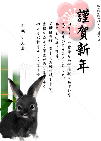 年賀状2011年 うさぎ 1904079