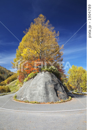 長野 岐阜 野麦峠 紅葉の写真素材