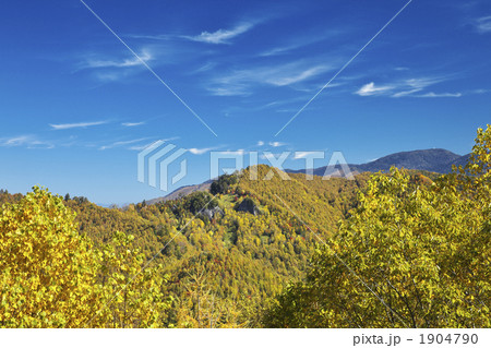 長野　岐阜　野麦峠　紅葉 1904790