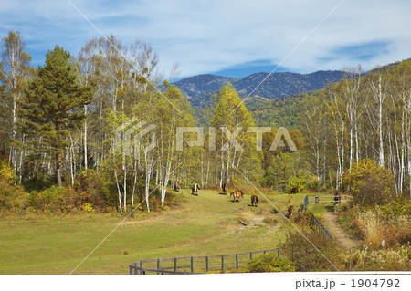 長野　開田高原　木曽馬の里 1904792