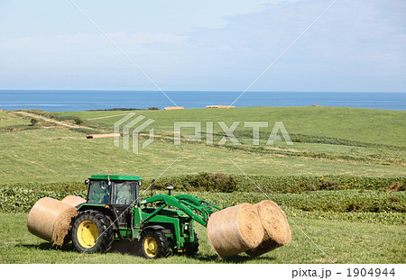 牧草を運ぶ 1904944