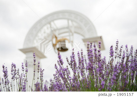 北海道上富良野の日の出公園 1905157