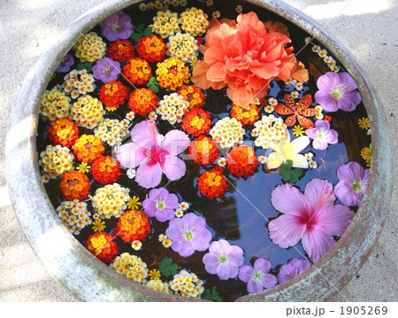 浮き花 生け花 フラワーアレンジメントの写真素材 浮き花 生け花 フラワーアレンジメントの写真素材