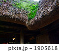 わらぶき屋根 1905618