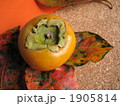 柿と柿の葉 1905814