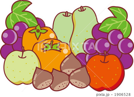 秋の味覚 1906528