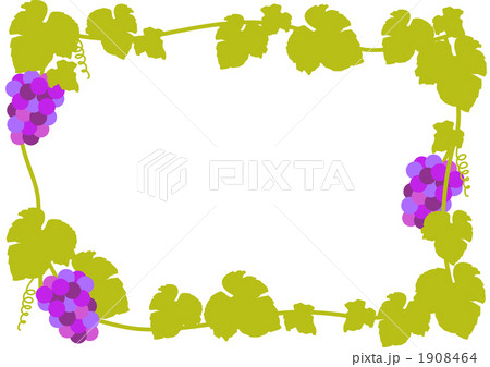 ブドウフレーム横のイラスト素材
