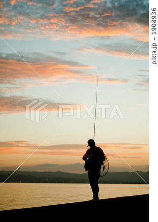 ANGLER　２ 1908936