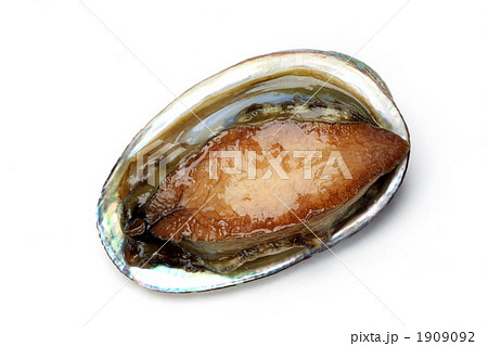 トコブシ 1909092