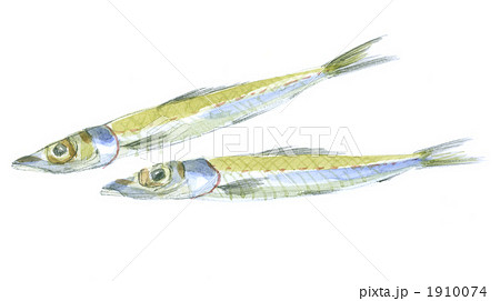 にぎすの若干し 1910074