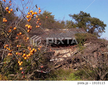 里山の廃屋 里山の廃屋 1910115