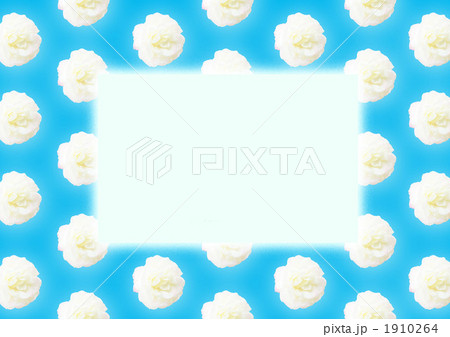 薔薇のメッセージボード 1910264