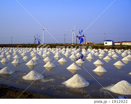 タイの天然塩田 1912022