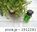 アロマオイル001 1912281