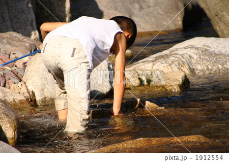 水遊び 1912554