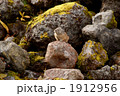 1912956