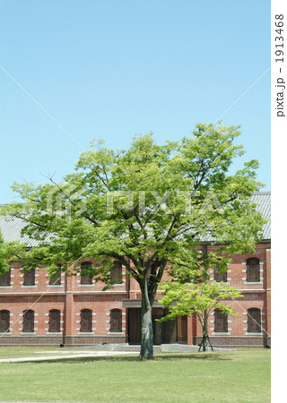 美術館と木 美術館と木 1913468