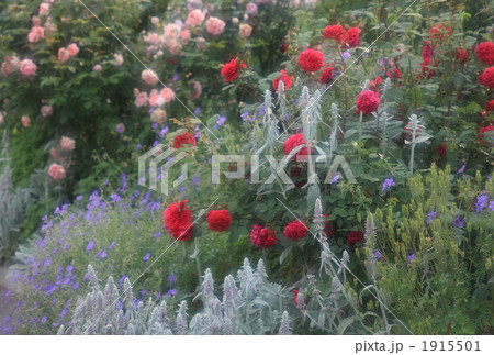 イングリッシュガーデン3 1915501