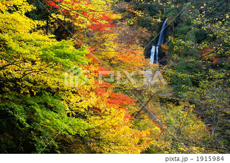 紅葉の抱返り渓谷・回顧の滝 紅葉の抱返り渓谷・回顧の滝 1915984