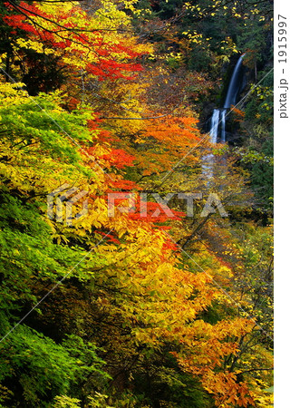 紅葉の抱返り渓谷・回顧の滝 紅葉の抱返り渓谷・回顧の滝 1915997