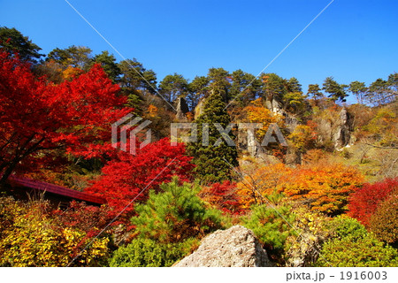 紅葉のきみまち阪公園 1916003