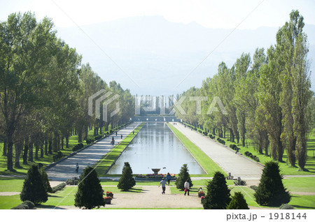 並木のある公園 1918144