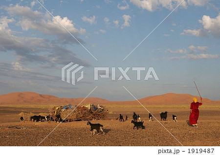 遊牧民の朝 1919487