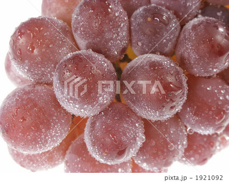 1921092