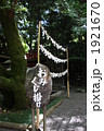 乃木神社のおみくじ掛け 1921670