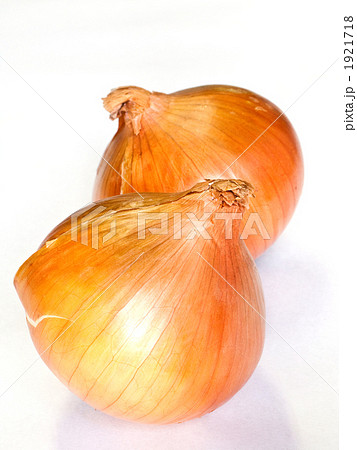 フレッシュな玉ねぎ 1921718