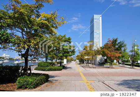 初秋の朱鷺メッセ 1922347