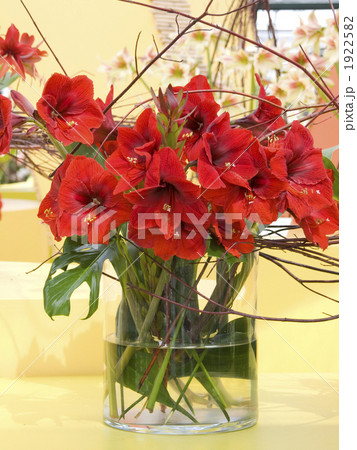 アマリリスのフラワーアレンジ 1922582