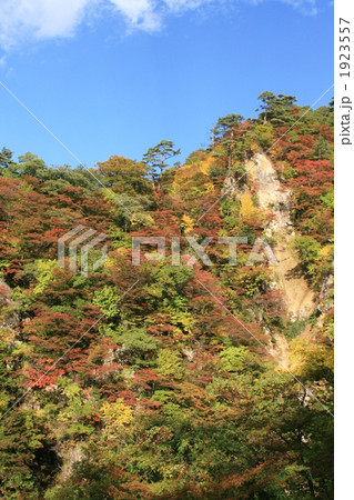 鳴子峡の紅葉　 1923557
