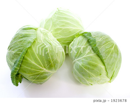 3つのキャベツ 3つのキャベツ 1923678