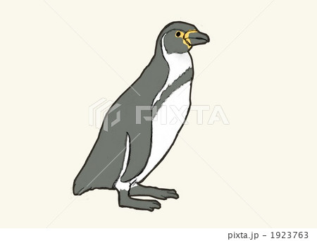 ペンギン  1923763