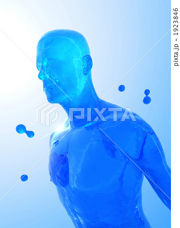 Human Body Stock Illustrations – 448,849 Human Body Stock