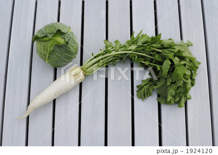 秋キャベツと葉付きダイコン 1924120