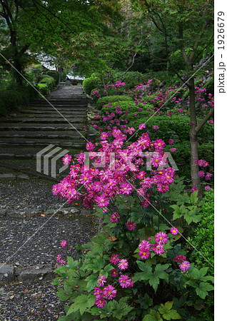 石段の彩り 石段の彩り 1926679
