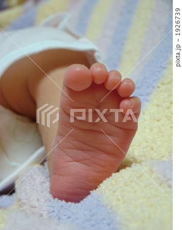 あんよ あんよ 1926739