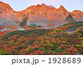 涸沢カールの紅葉 1928689