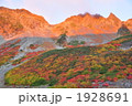 涸沢カールの紅葉 1928691