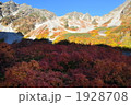 涸沢カールの紅葉 1928708