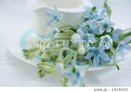 ブルー花アレンジメント ブルー花アレンジメント 1929420