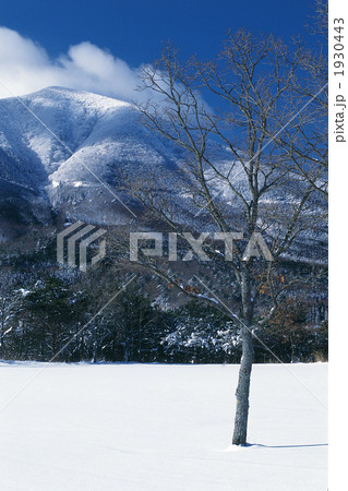 冬の涌蓋山 1930443